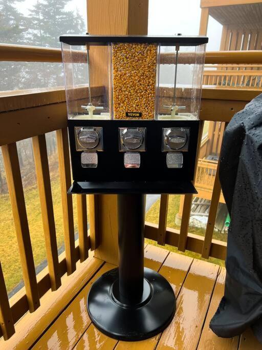 202D Summit - Completely Remodeled Modern Condo In Summit! Snowshoe Luaran gambar