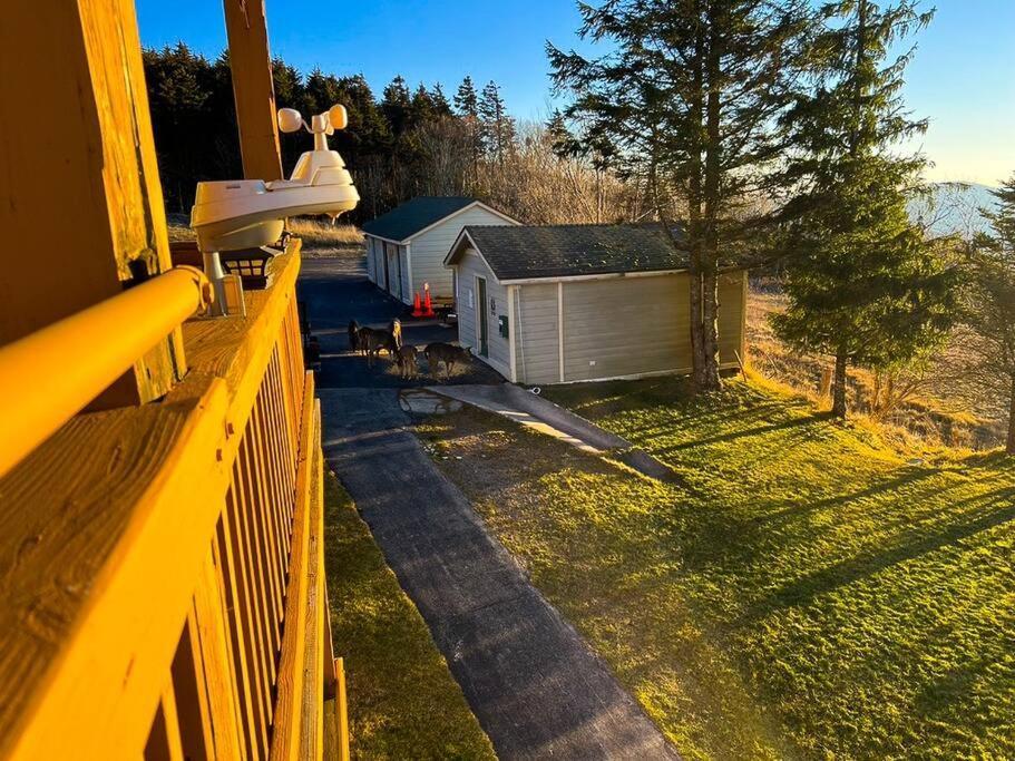 202D Summit - Completely Remodeled Modern Condo In Summit! Snowshoe Luaran gambar